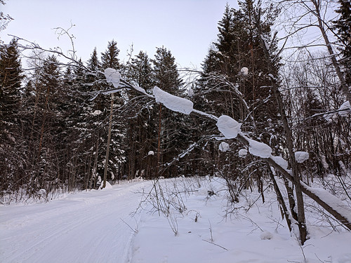PXL 20230223 6.jpg