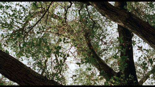d553a971f4bf.png