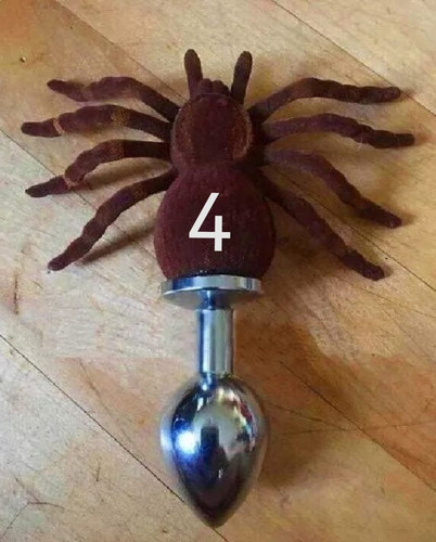 5467732413259040853.jpg