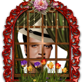 2521111UryQMiTn.png