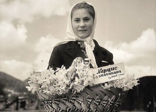 resizedimage600429 zlatibor stare slike 0 900.jpg