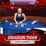 dragon tiger.3