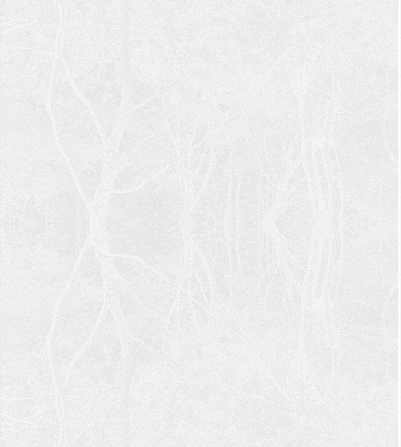 seamless background tropic.jpg