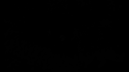 4c4c8befe034.png
