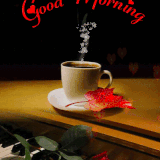 7467fe2bb5e33191d87bdc5938a881b0.gif