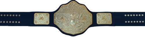 IMG WorldBelt 044(1).png