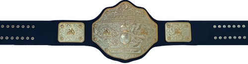 IMG WorldBelt (44)1.png