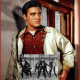 24211517oIBgXUDi.gif