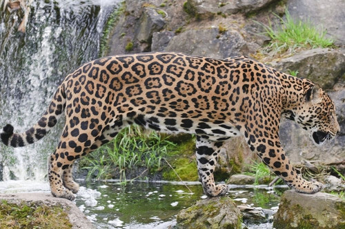 7C9C2B0E 204D 43D5 BAF7 F5929D24E5C5.jpg