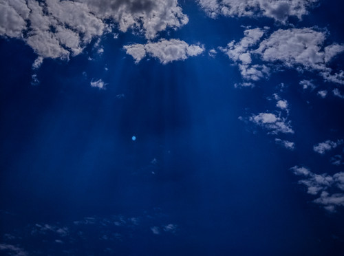 IMG 20220730 121109.jpg