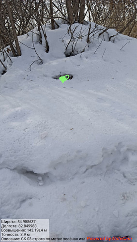 IMG 20230226 151341.jpg