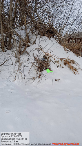 IMG 20230226 153836.jpg