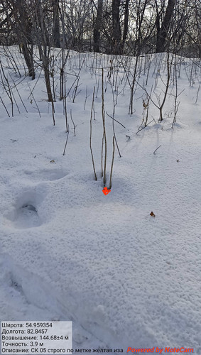 IMG 20230226 144912.jpg