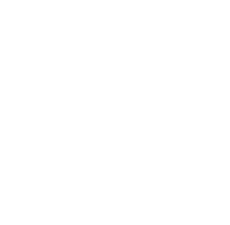 github mark white.png