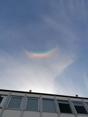 rainbow.jpg