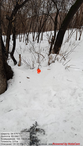 IMG 20230224 182710.jpg