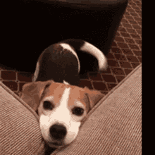 bedtime cute.gif