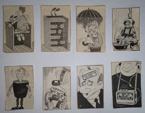 P 20230224 094353 1.jpg