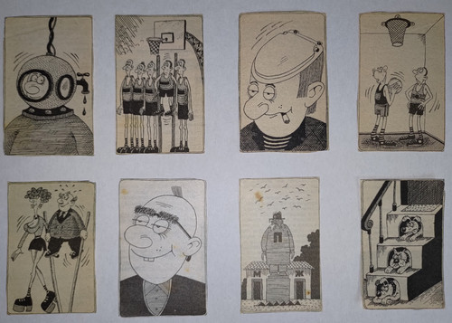 P 20230224 094251 1.jpg