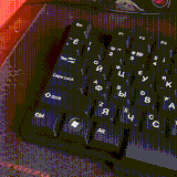 tarakani.gif