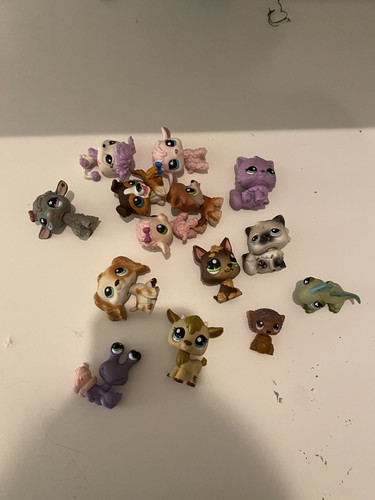 3B86998D 5ED0 48E1 B0F7 E6F7B53D3B6A.jpg