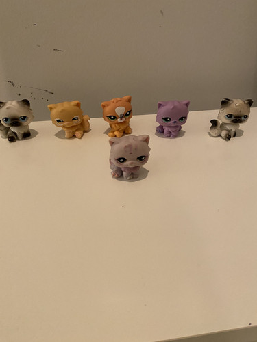 31881256 7AD0 46A4 830D 051BFA3E6C7F.jpg