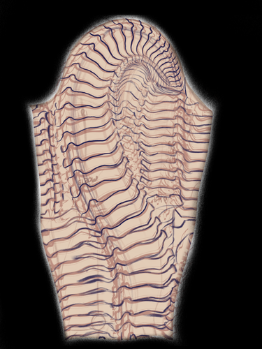 655CF207 55A4 4327 A70A F080D9539292.png