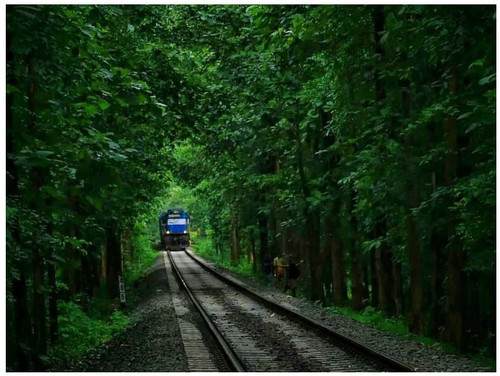Nilambur.jpg