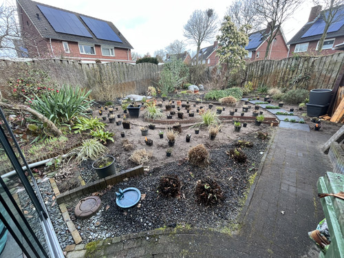 8BF45BC1 749A 4E9B 84BA C7BB039ACDA5.jpg