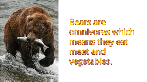 Screen Shot 2023 03 28 at 1.18.41 PM.png