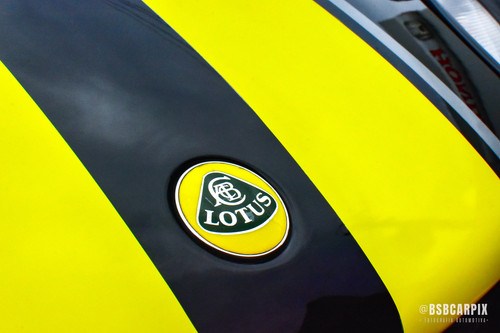 Lotus 163