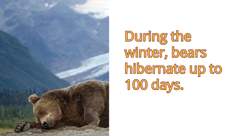 Screen Shot 2023 03 27 at 4.56.58 PM.png