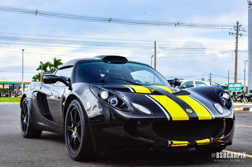 Lotus 151