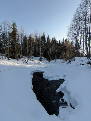 PXL 20230328 7.jpg