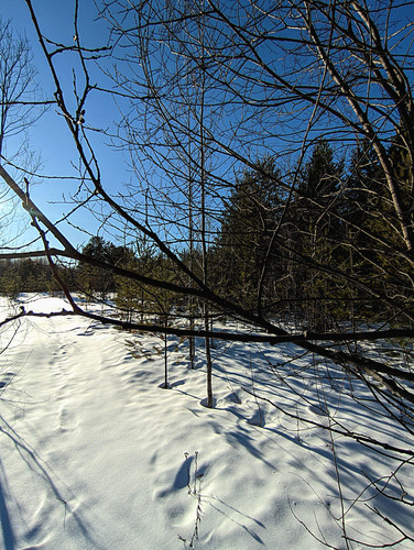 PXL 20230328 5.jpg