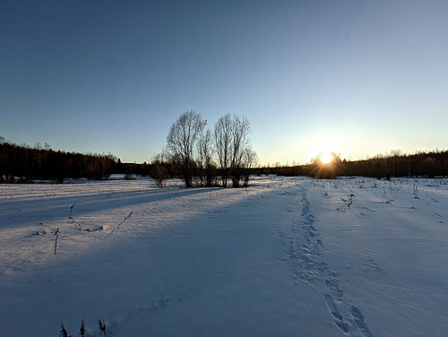 PXL 20230328 4.jpg