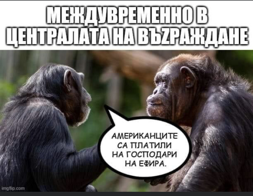 HN4wDFt.jpg