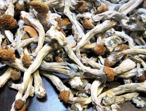 IMG 1874.cleaned.jpg