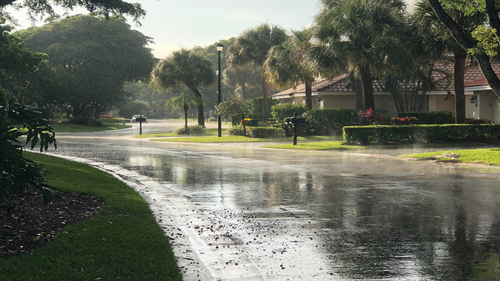 output onlinepngtools (2).png