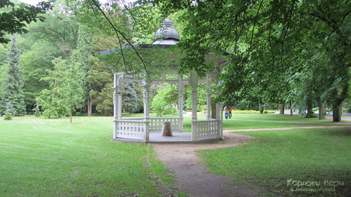 106.jpg
