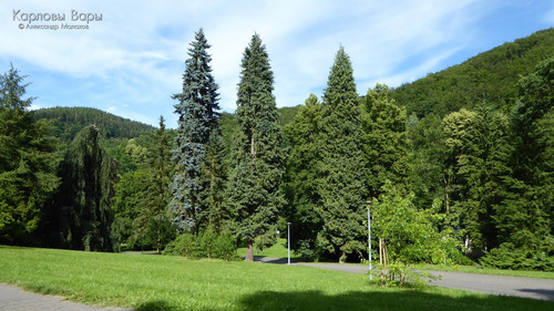 130.jpg
