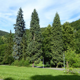 130