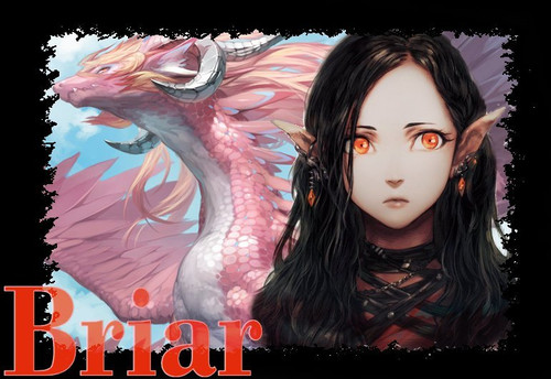 Briar 3.jpg