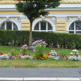 Лазне 28