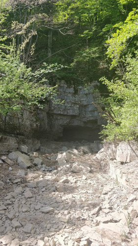 IMG 20230324 WA0005.jpg