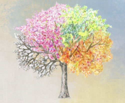 Снимок экрана 2023 03 25 в 10.47.01.png