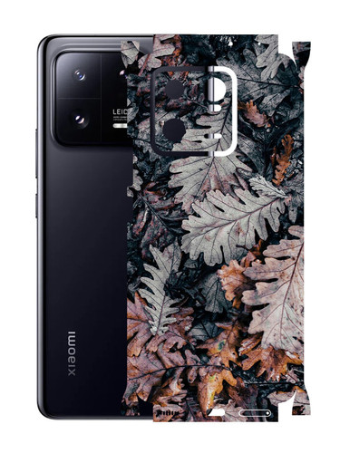 Xiaomi 13 Pro (5G) DryLeaves.jpg