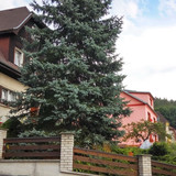 Вары 6
