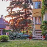 Вары 4