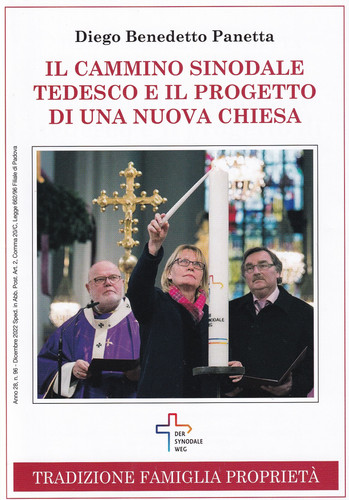 Il Cammino sinodale tedesco e il progetto di una nuova Chiesa.jpg
